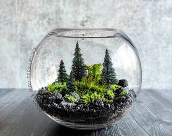 Puede incluir: Un terrario de vidrio con una escena de bosque en miniatura. El terrario está lleno de árboles pequeños, musgo y piedras negras. El texto "Doodle Bird Terrariums" está escrito en el lateral del terrario.