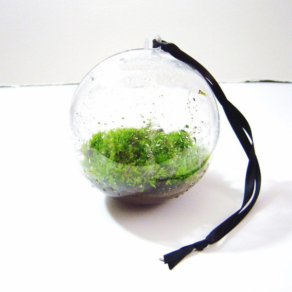 Moss Garden Sphere - Large