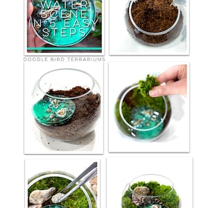 Mini Waterscape Kit for Terrariums and Miniature Gardens image 4