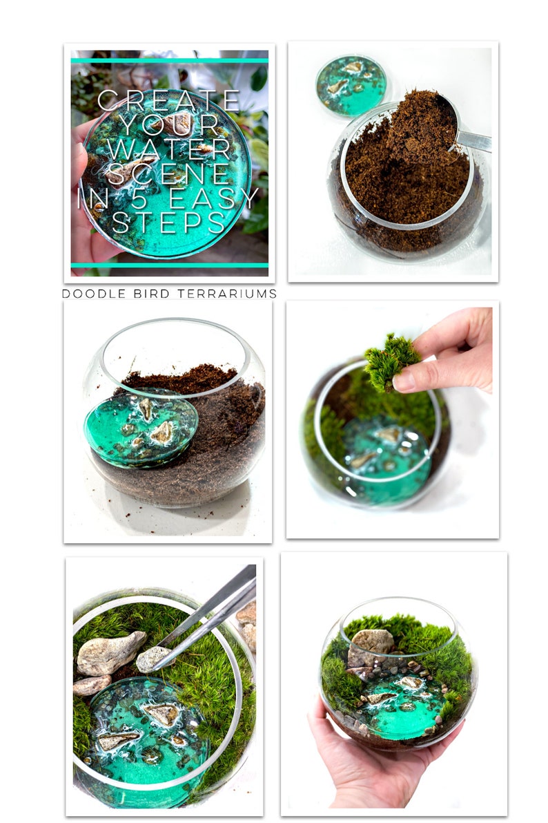 Mini Waterscape Kit for Terrariums and Miniature Gardens image 4