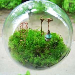 The Secret Garden Moss Terrarium Globe image 5