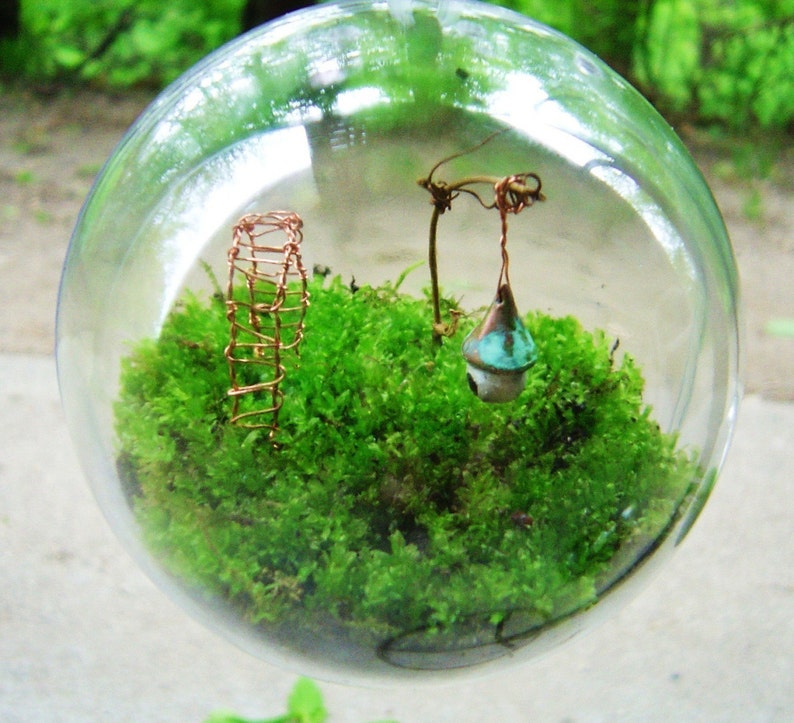 The Secret Garden Moss Terrarium Globe image 5