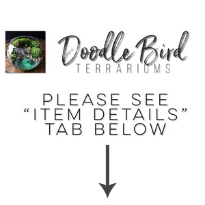 May include: A glass terrarium with a variety of plants and rocks. The terrarium is round and has a clear glass lid. The terrarium is sitting on a white surface. The text "Doodle Bird Terrariums" is visible above the terrarium. The text "PLEASE SEE "ITEM DETAILS" TAB BELOW" is visible below the terrarium.