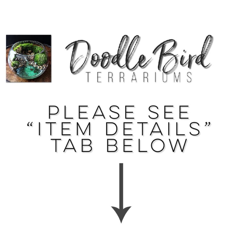 May include: A glass terrarium with a variety of plants and rocks. The terrarium is round and has a clear glass lid. The terrarium is sitting on a white surface. The text "Doodle Bird Terrariums" is visible above the terrarium. The text "PLEASE SEE "ITEM DETAILS" TAB BELOW" is visible below the terrarium.