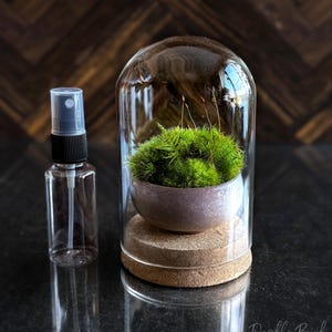 K&ouml;nnte beinhalten: Eine wei&szlig;e Keramik-Tasse mit schwarzem Henkel und dem Text "But First, Coffee" in schwarzer, handschriftlicher Schrift. Die Tasse steht auf einer wei&szlig;en Oberfl&auml;che.