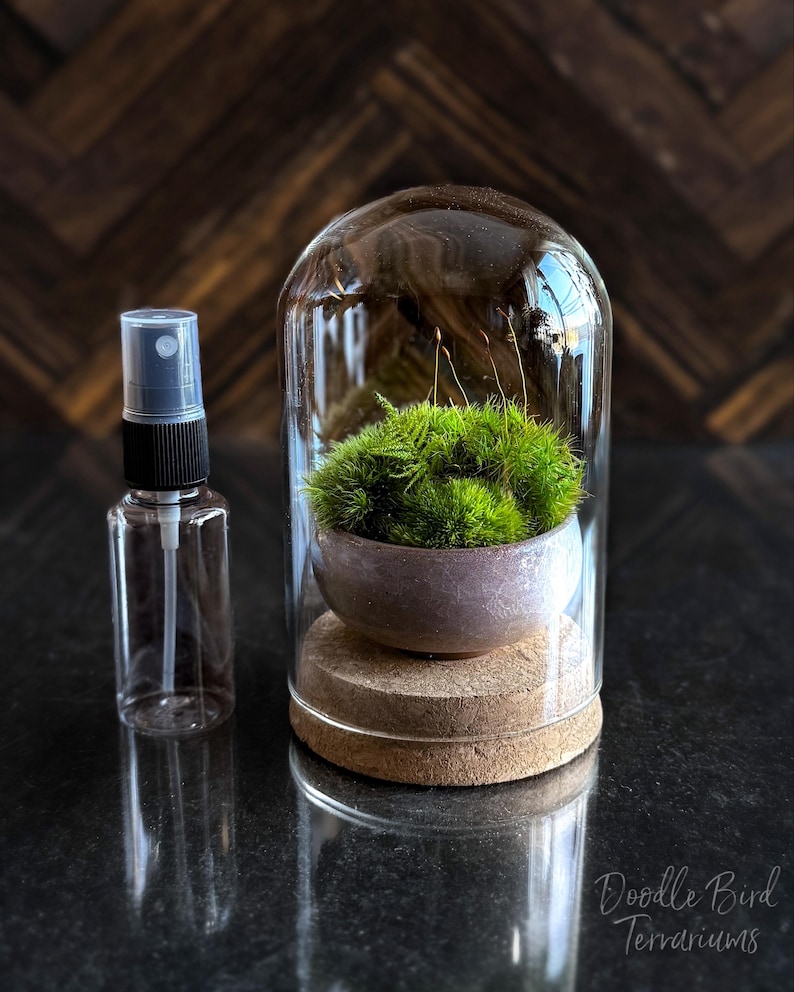 K&ouml;nnte beinhalten: Eine wei&szlig;e Keramik-Tasse mit schwarzem Henkel und dem Text "But First, Coffee" in schwarzer, handschriftlicher Schrift. Die Tasse steht auf einer wei&szlig;en Oberfl&auml;che.