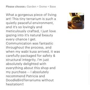 K&ouml;nnte beinhalten: Eine Kundenrezension f&uuml;r DoodleBird Terrariums, mit 5 Sternen bewertet und empfiehlt den Shop. Der Text lautet: "Was f&uuml;r ein wundersch&ouml;nes St&uuml;ck lebender Kunst!" Die Rezension ist vom 30. Oktober 2024.