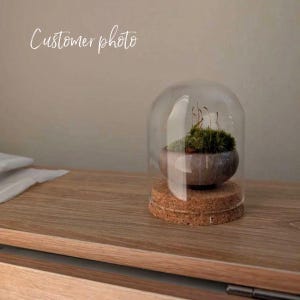 K&ouml;nnte beinhalten: Ein kleines Terrarium mit einer Glaskuppel, das einen Miniatur-Moosgarten zeigt. Das Moos befindet sich in einem grauen, abgerundeten Topf, der auf einem Korksockel steht. Die Worte "Customer photo" sind oben in Kursivschrift geschrieben.
