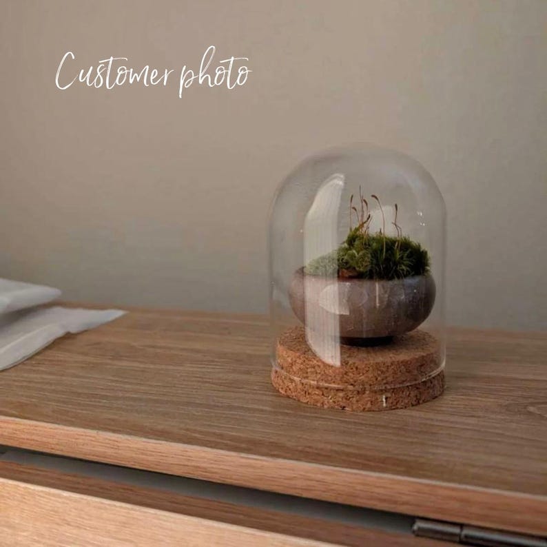 K&ouml;nnte beinhalten: Ein kleines Terrarium mit einer Glaskuppel, das einen Miniatur-Moosgarten zeigt. Das Moos befindet sich in einem grauen, abgerundeten Topf, der auf einem Korksockel steht. Die Worte "Customer photo" sind oben in Kursivschrift geschrieben.