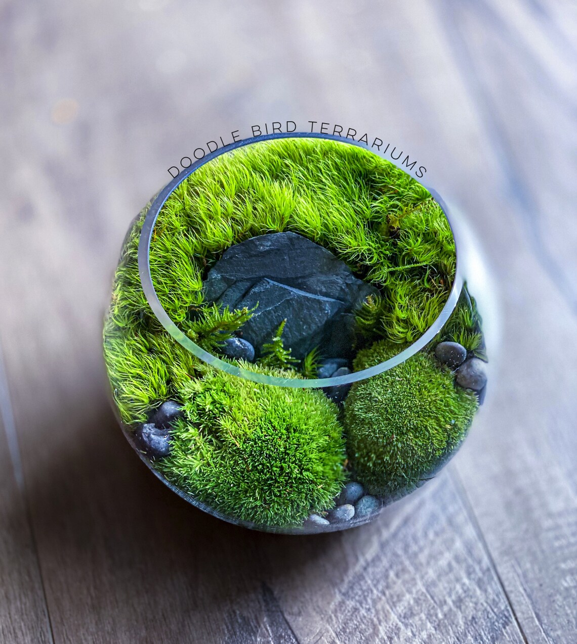 5. A Symphony Of Greens: Bowl Of Moss
