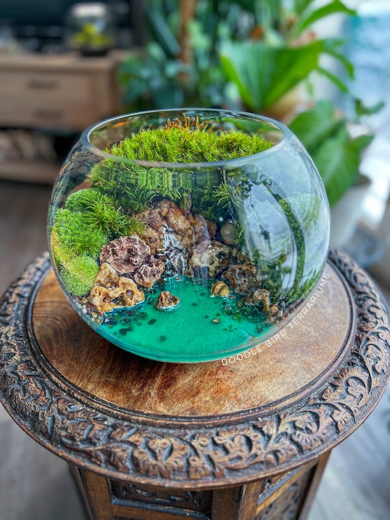 Turquoise Ocean Cove Waterfall Terrarium With Jungle Green Live