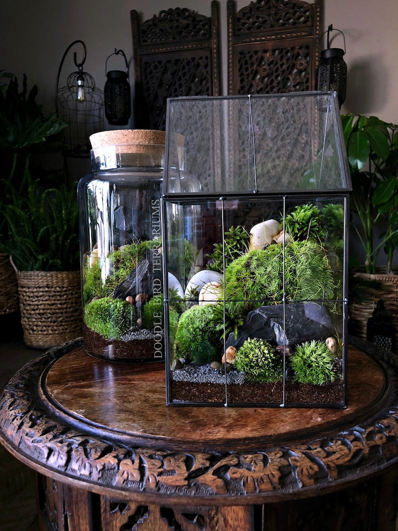 May include: Two glass terrariums with a variety of plants, moss, and rocks. The larger terrarium is a jar with a cork lid. The smaller terrarium is a rectangular glass house with a black metal frame. Both terrariums are on a wooden table with intricate carvings.