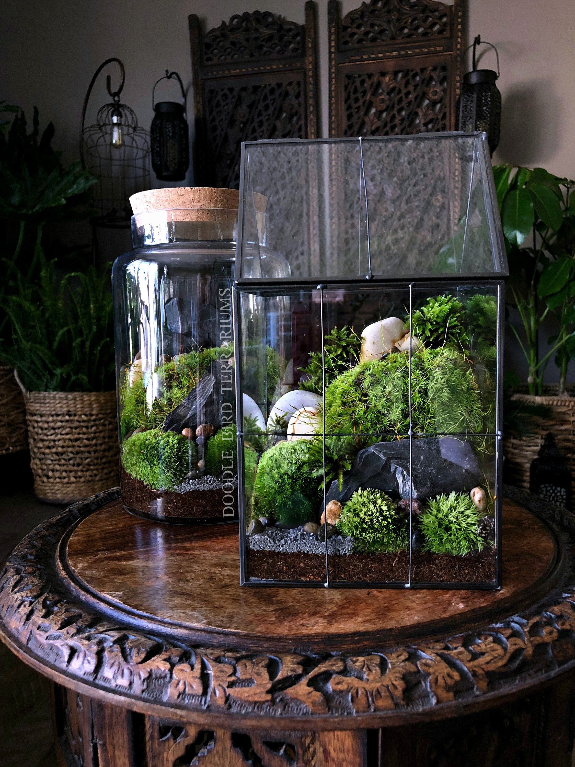 Pacific Northwest Terrarium Moss Green Moody Landscape 