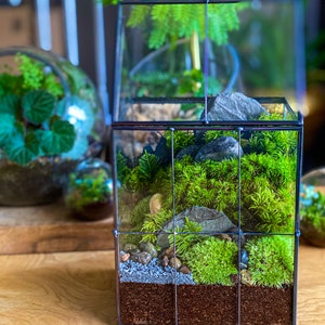 May include: A square glass terrarium with a black metal frame, filled with moss, rocks, and soil. The terrarium is labeled "Doodle Bird Terrariums".