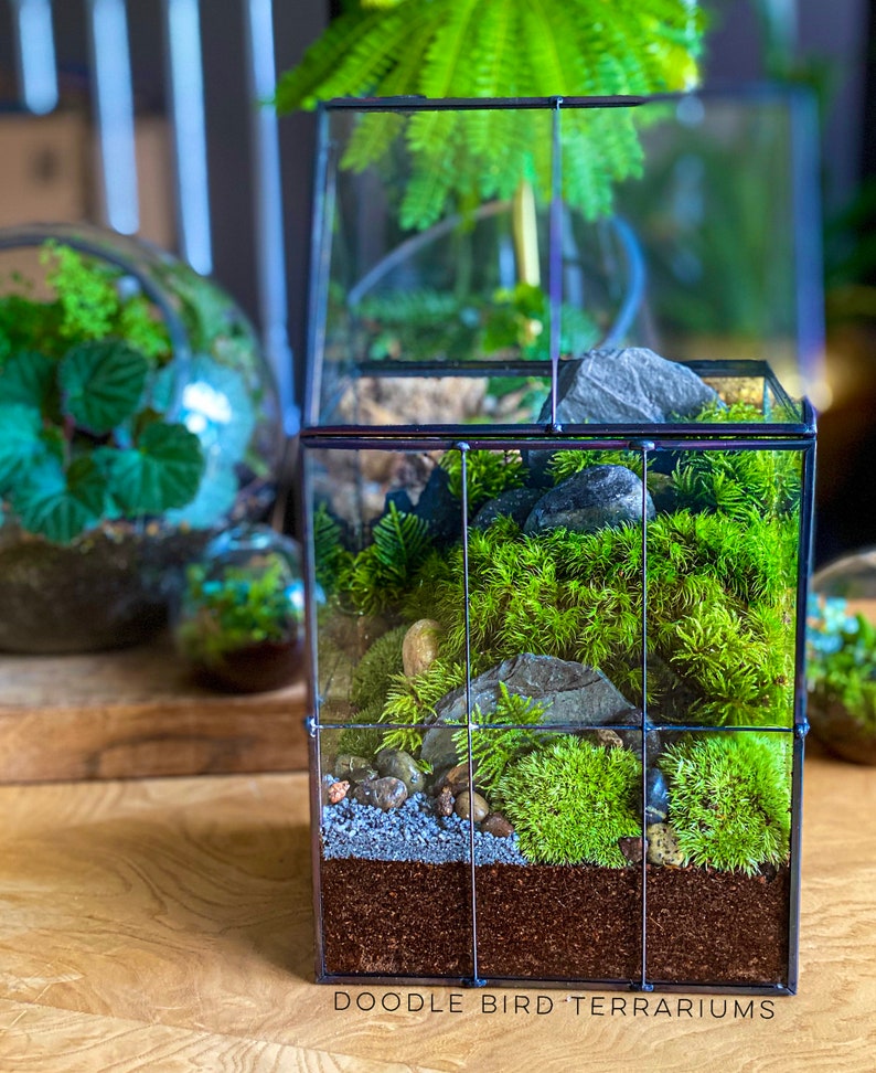 Large Greenhouse Moss Terrarium with Landscape Scene in Etsy