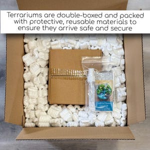 Glass Terrarium for Shelf Decor, Office Plants, and Easy Care Beginner Gardening image 7