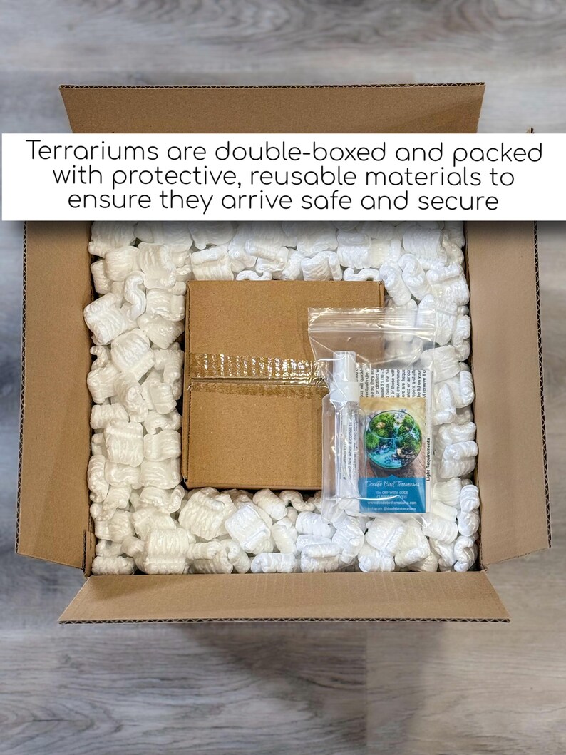 Glass Terrarium for Shelf Decor, Office Plants, and Easy Care Beginner Gardening image 7