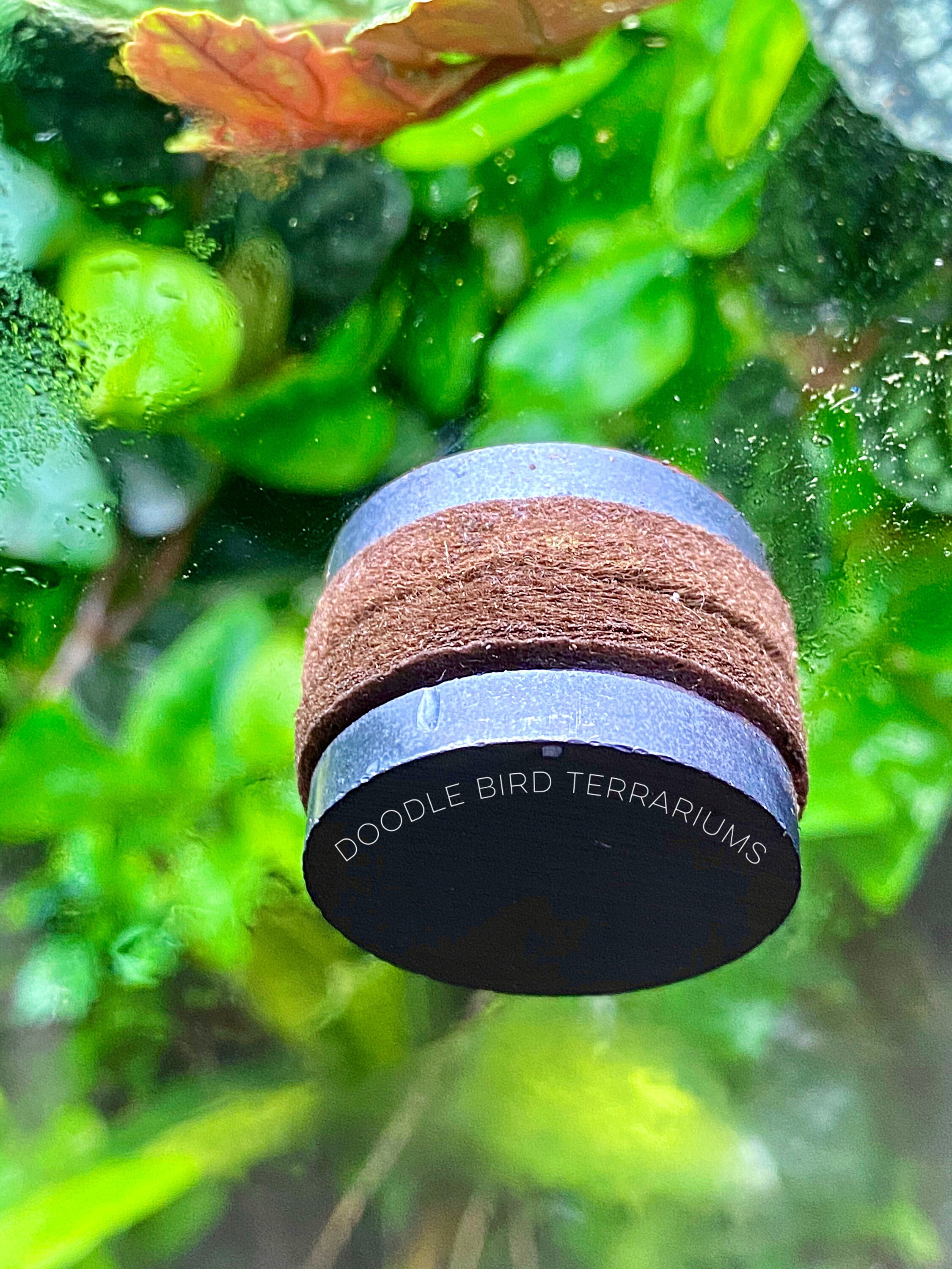 Terra Clear Terrarium Cleaner for Fog and Condensation