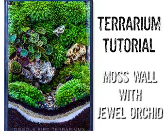 DIY Moss Wall Terrarium Guide: How to Build a Jewel Orchid Terrarium - Downloadable PDF Tutorial