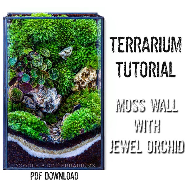 Tutorial Moss Wall Terrarium with Orchid PDF Download