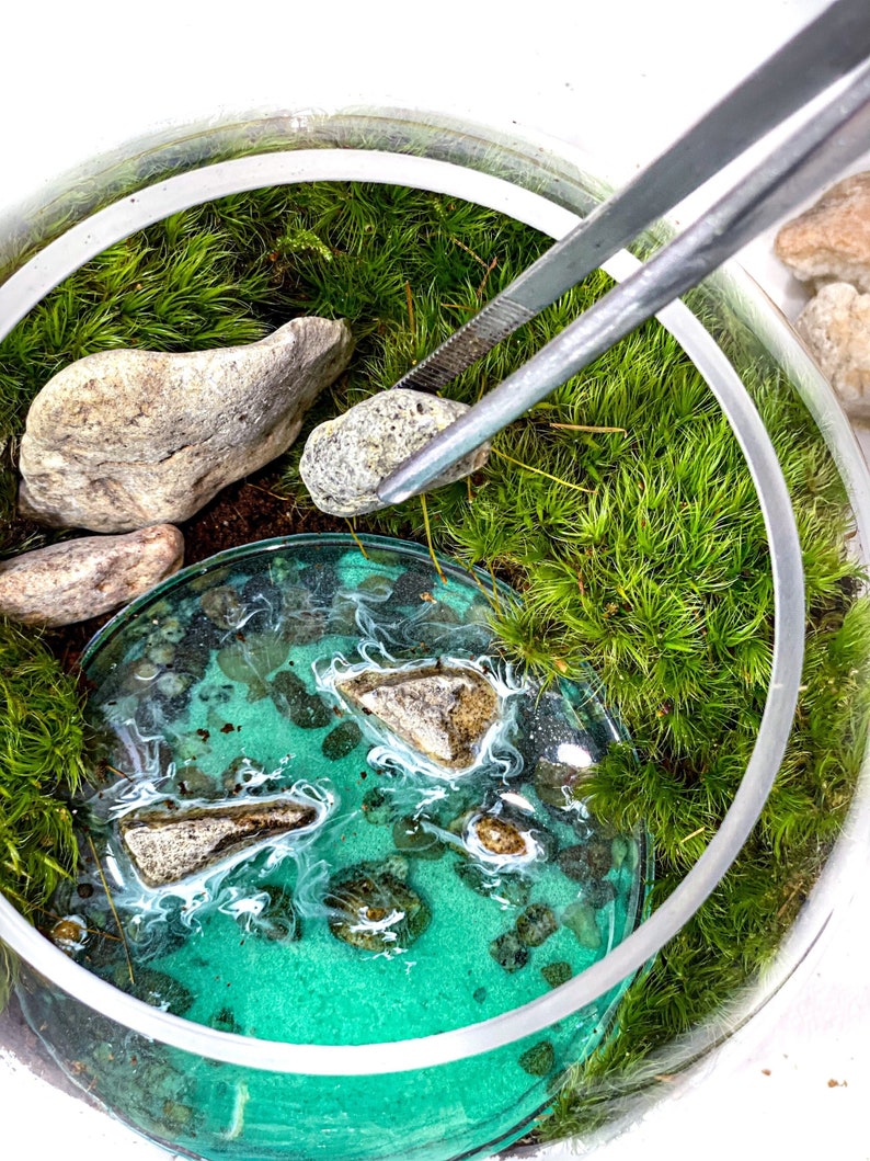 May include: A terrarium with green moss, small rocks, and a clear glass dish filled with a turquoise liquid with white swirls. A pair of tweezers holds a small rock over the dish.