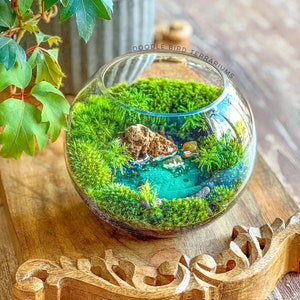 Mini Waterscape Kit for Terrariums and Miniature Gardens image 5