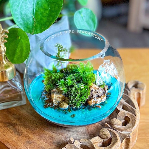 Terrarium with Turquoise Tropical Florida Springs Large and Extra
