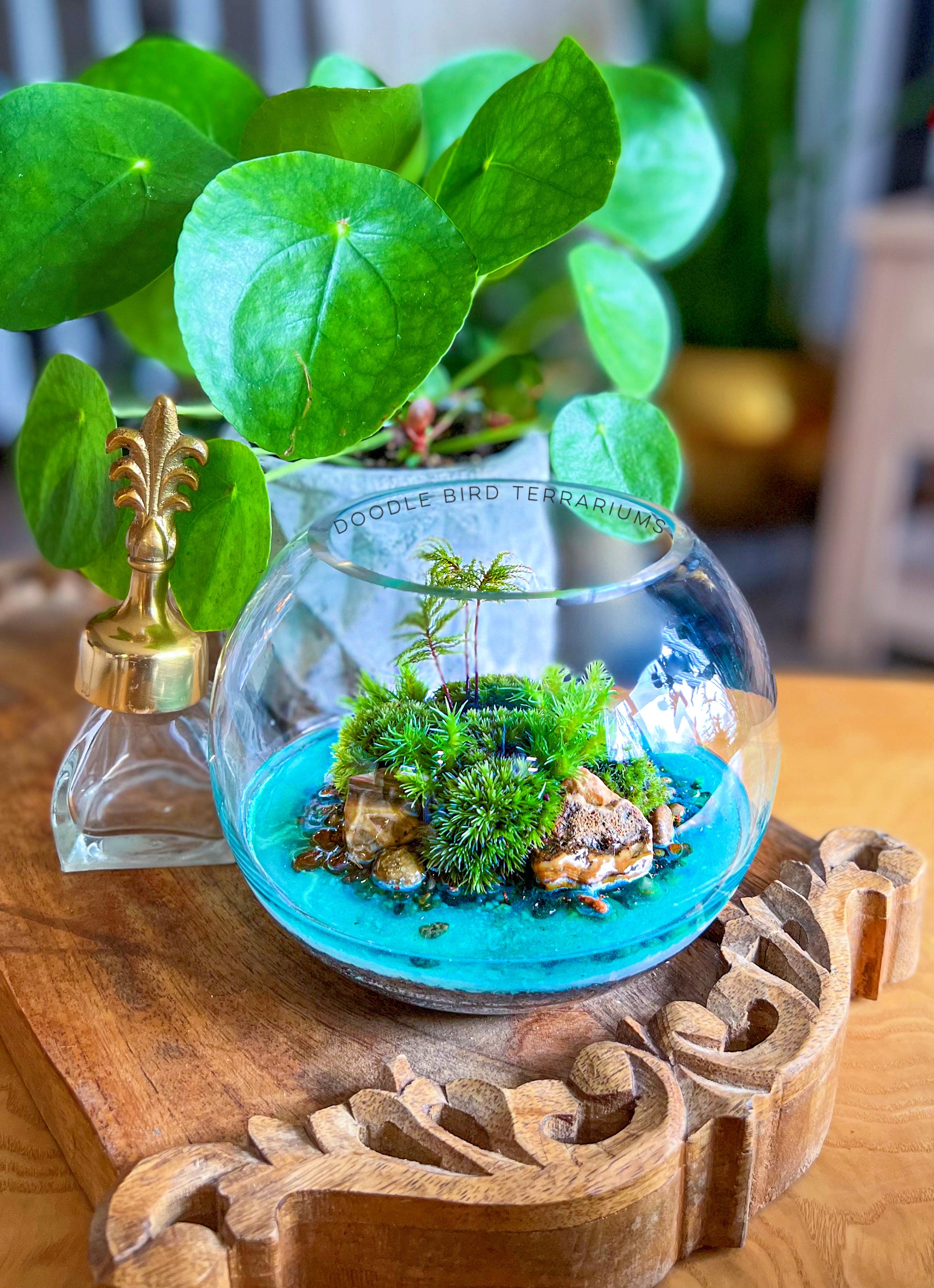 Tropical Getaway Terrarium Deserted Island with Crystal Blue Waterscape