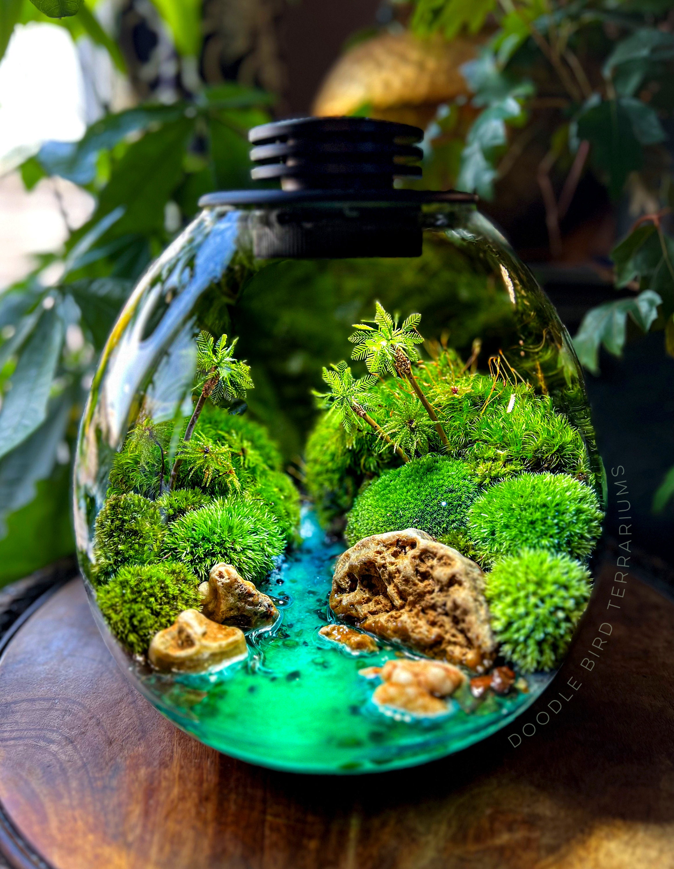 Palm Springs Terrarium Lamp Customizable Night Light