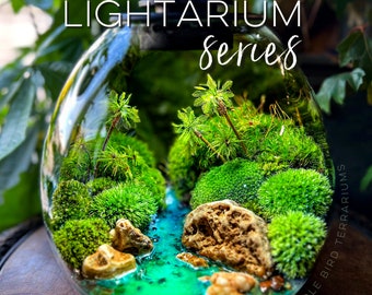 Gift-Ready EcoSphere Table Lamp: Artisan Terrarium with Lush Moss, Waterfall, and Night Light