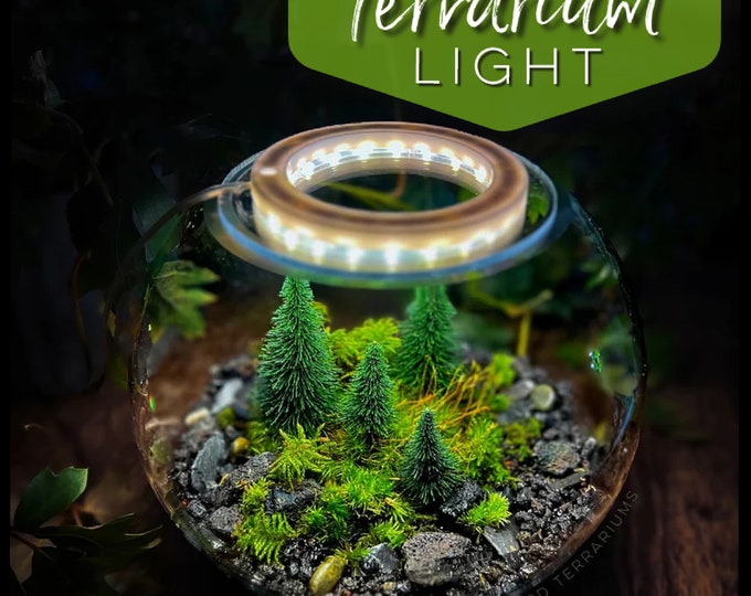 Featured listing image: Grow Lamp for Terrariums, Moss, Orchids, Houseplants - Halo Light
