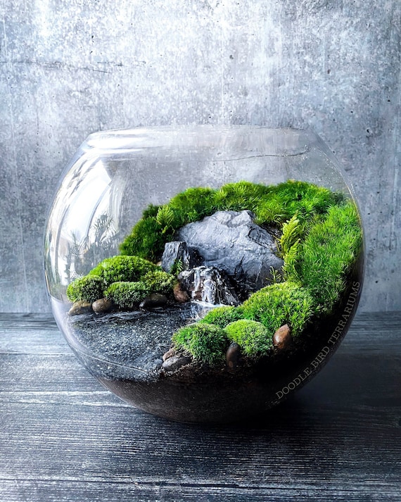Pacific Northwest Terrarium / Moody Grey Lake Landscape / Gift for Plant  Lovers / Live Moss - Etsy Norway