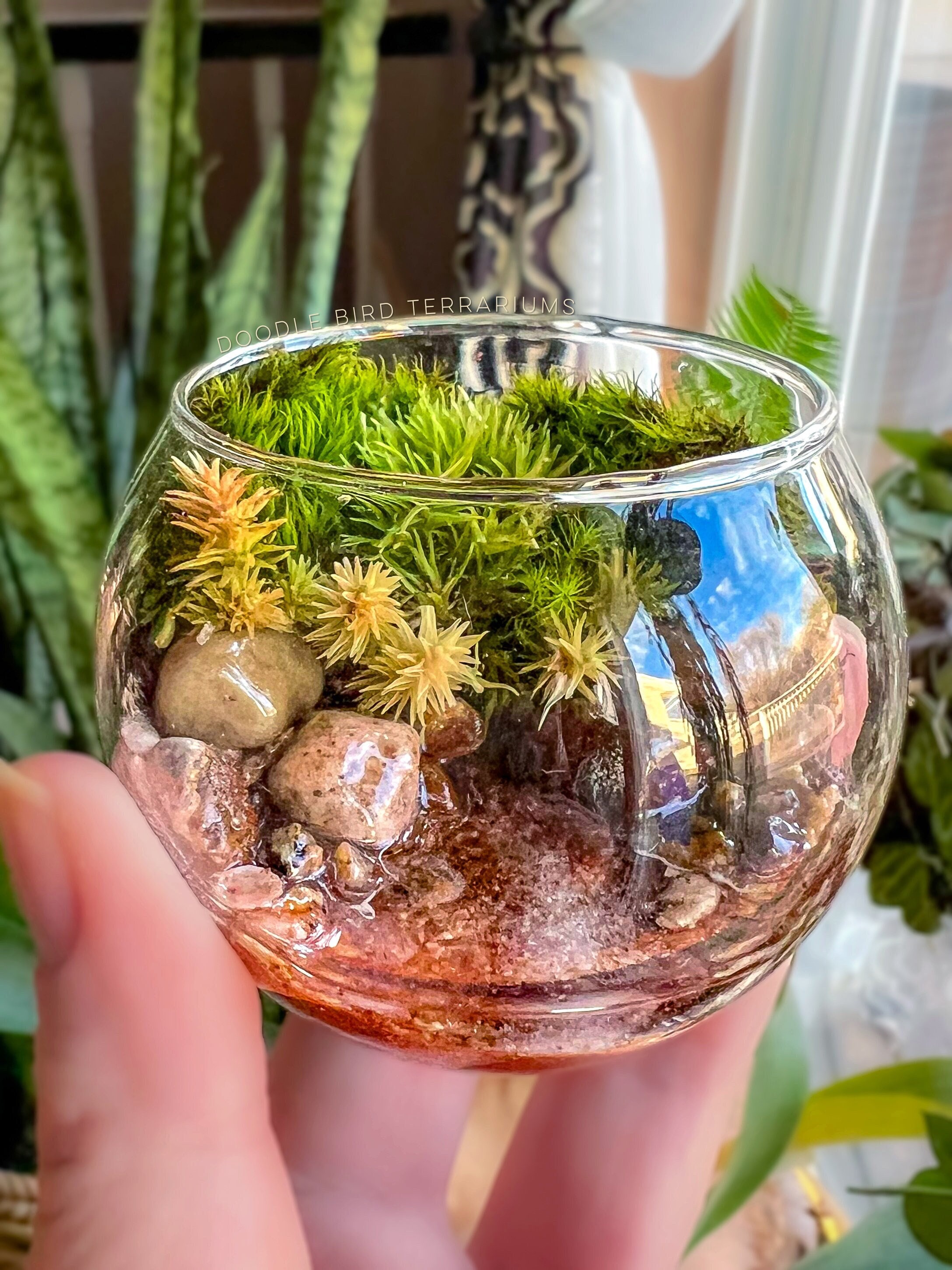 Handcrafted Mini Creek Terrarium Epoxy Resin Pocket Garden Series