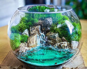 Pode incluir: Um terrário em miniatura em um recipiente de vidro transparente e redondo. A cena inclui uma cachoeira, rochas e musgo verde vibrante, criando um pequeno ecossistema. A água é de um turquesa brilhante. A base é de madeira.
