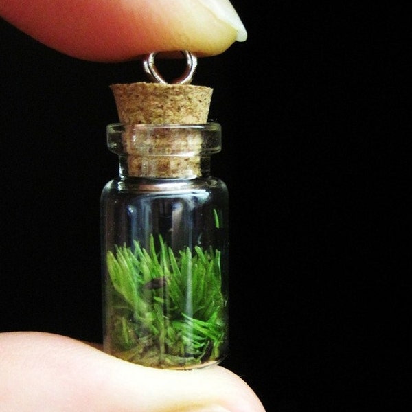 Plant Terrarium Charm for Necklaces, Bracelets, or Keychains
