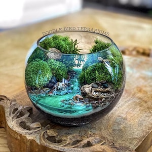 May include: A clear glass terrarium with a miniature landscape featuring green moss, small rocks, and a turquoise-colored water feature. The terrarium is set on a wooden base with carved edges. The text "DOODLE BIRD TERRARIUMS" is visible.