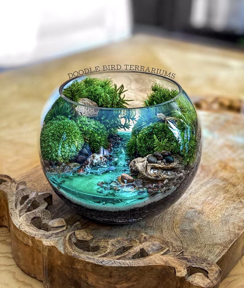 May include: A clear glass terrarium with a miniature landscape featuring green moss, small rocks, and a turquoise-colored water feature. The terrarium is set on a wooden base with carved edges. The text "DOODLE BIRD TERRARIUMS" is visible.