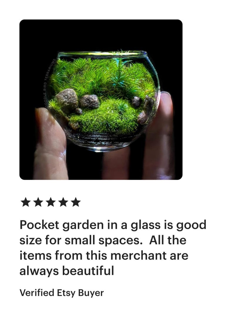 Jardín de bolsillo: Pequeño Edén, terrario de musgo en miniatura coleccionable imagen 4