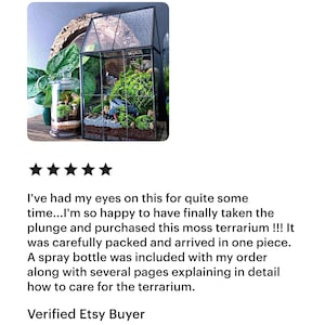 Glass Terrarium for Shelf Decor, Office Plants, and Easy Care Beginner Gardening image 5