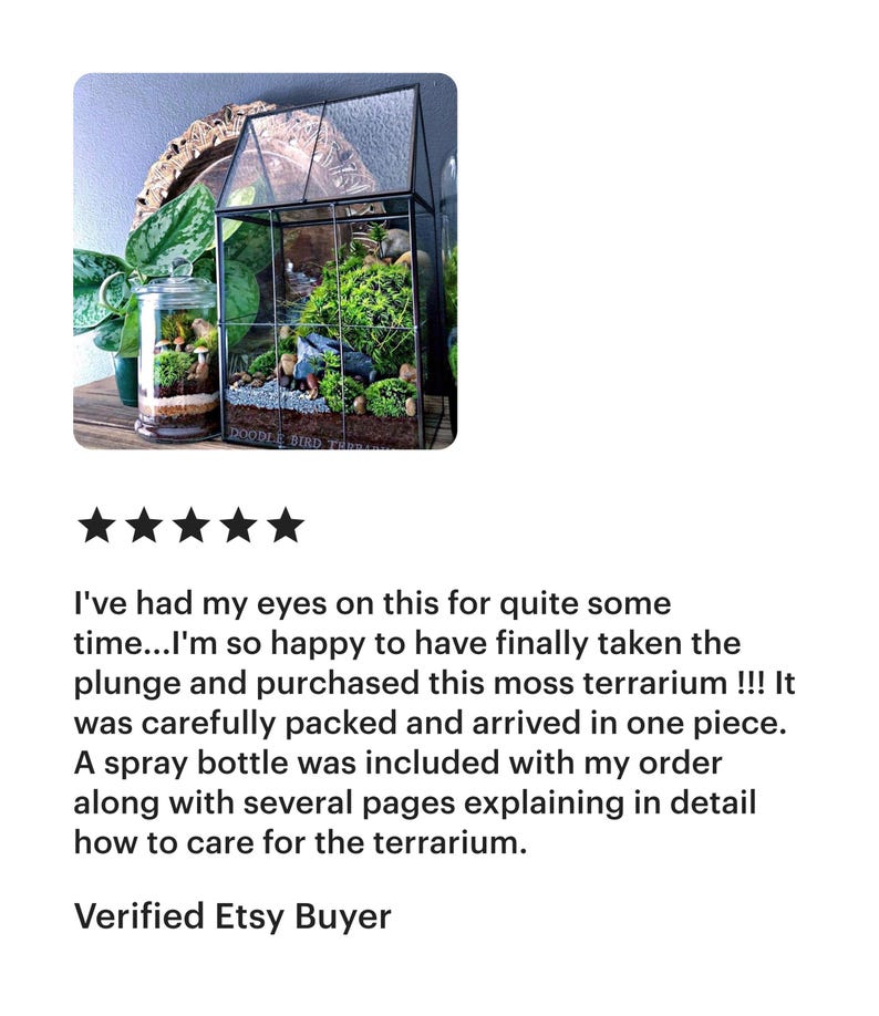 Glass Terrarium for Shelf Decor, Office Plants, and Easy Care Beginner Gardening image 5