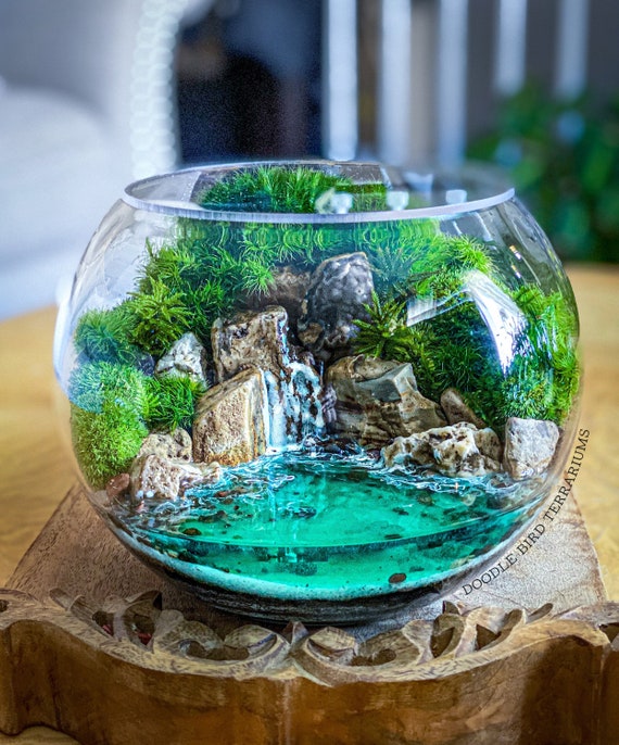 Terrarium top waterfall kit