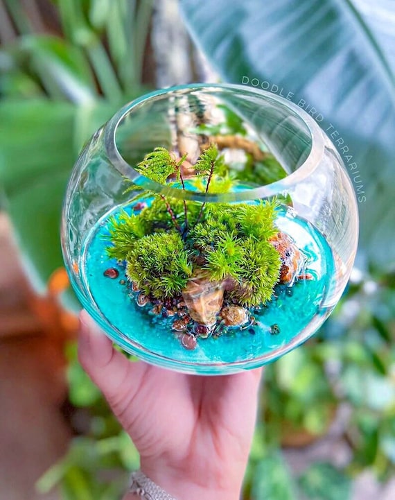 Micro Island Paradise  Small Terrarium With Coastal Vibe Beach-inspired  Miniature Landscape - Etsy