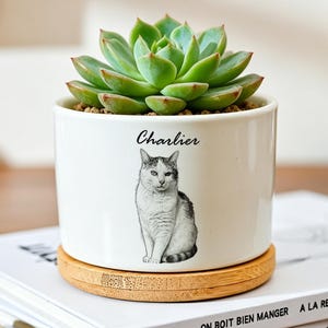 May include: A white cylindrical ceramic planter with a bamboo saucer base. The planter features a black and white illustration of a cat and the name Charlier printed in black script above the cat. A green succulent plant is potted inside.