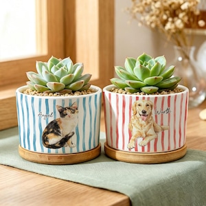 Può includere: Due vasi cilindrici in ceramica con sottovasi in bambù, ciascuno contenente una pianta succulenta verde. Il vaso a sinistra presenta strisce verticali blu e l'illustrazione di un gatto calico con il nome Angel. Il vaso a destra ha strisce rosse e l'illustrazione di un golden retriever con il nome Wurth.