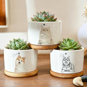 May include: Three white cylindrical ceramic planters with bamboo saucers, each containing a green succulent. The planters feature illustrations of pets, including a cat labelled "Candy" and two dogs labelled "Charlie" and "Cooper," with paw print accents.
