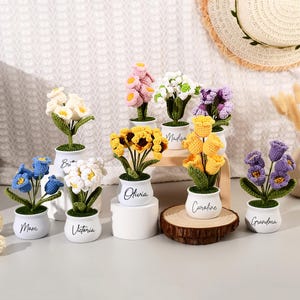 Personalized Handmade Crochet Flower in Pot, Custom Name Flower Pot, Crochet Flowers, Forever Blooming Floral Decor & Unique Gift
