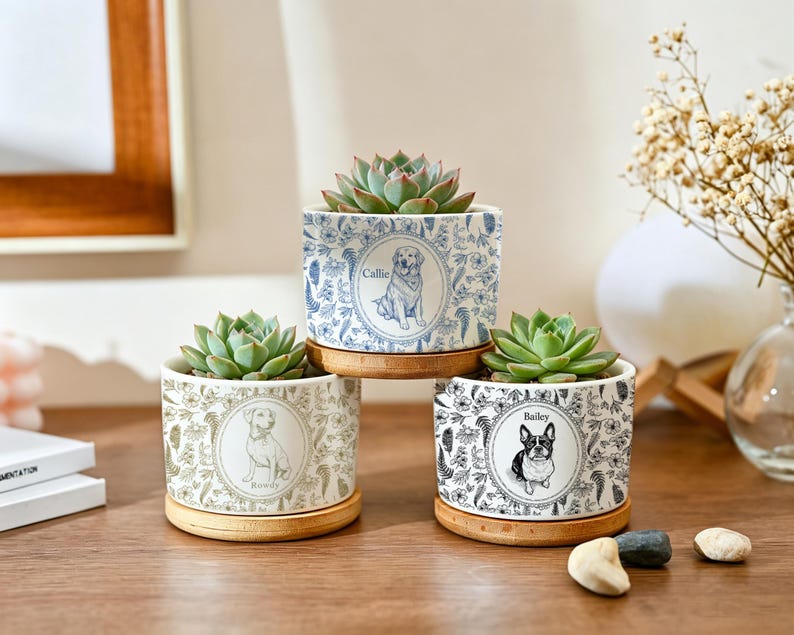 May include: Three ceramic dog-themed planters with succulents. Each planter features a different dog breed illustration and name: Callie, Rowdy, and Bailey. The planters sit on bamboo saucers, with a floral design. The succulents are green.