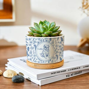 May include: A small, round succulent plant in a white and blue floral ceramic pot. The pot features a portrait of a dog named Callie. The pot sits on a bamboo coaster. The text "COFFEE OR TEA" is visible on a book.