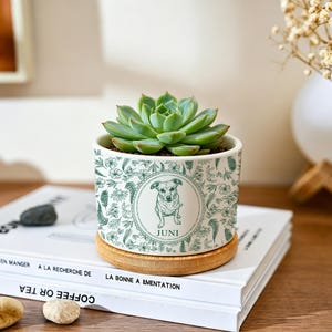May include: A small, round ceramic planter with a green succulent. The planter has a floral design and a circular image of a dog with the name "JUNI". It sits on a bamboo coaster.