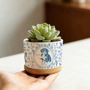 May include: A small, round ceramic planter with a succulent plant. The planter is white with a blue floral design and a blue illustration of a puppy named Bella. The planter sits on a wooden saucer.